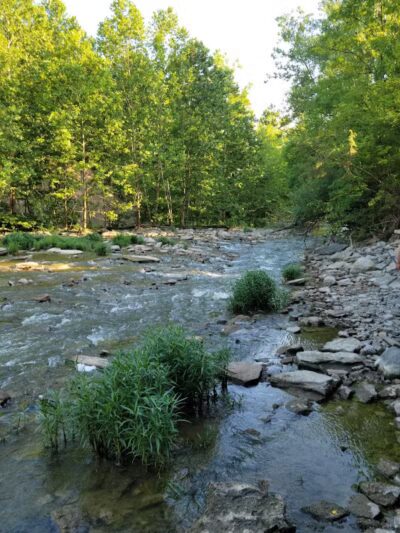 Hueston Woods State Park - College Corner, OH