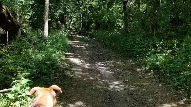 Hueston Woods State Park - College Corner, OH