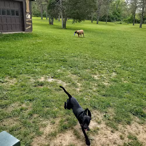 Hueston Woods State Park - College Corner, OH