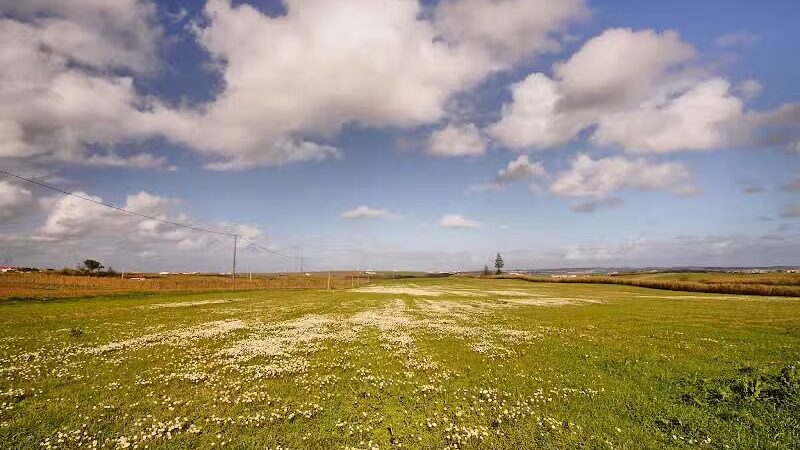 Mutts on Main Dog Park Members Only - Collinsville, IL