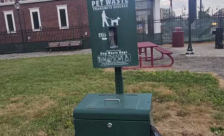 Mutts on Main Dog Park Members Only - Collinsville, IL