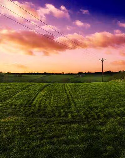 Mutts on Main Dog Park Members Only - Collinsville, IL