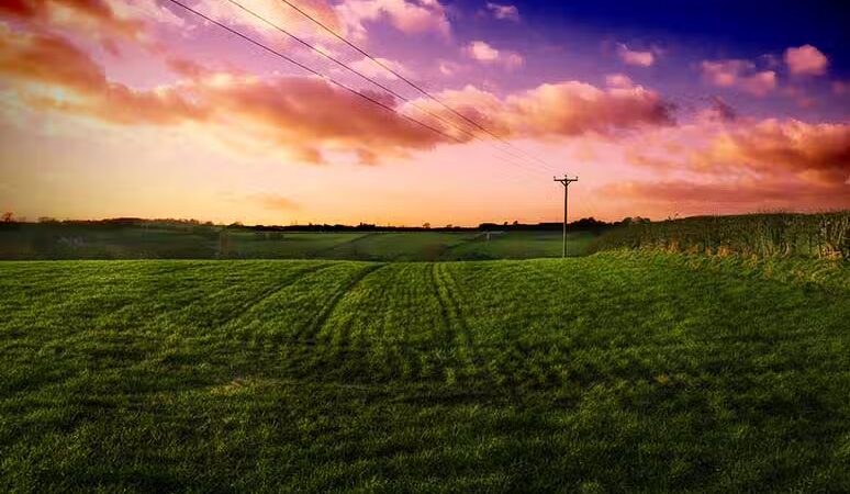 Mutts on Main Dog Park Members Only - Collinsville, IL