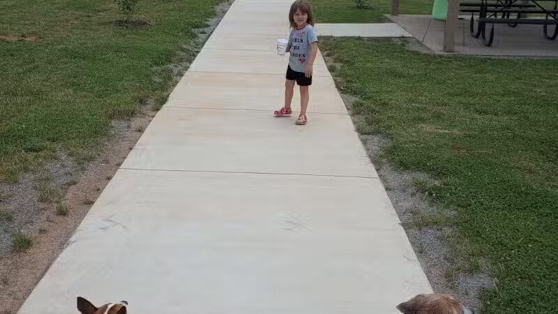 Collinsville Dog Park - Collinsville, VA