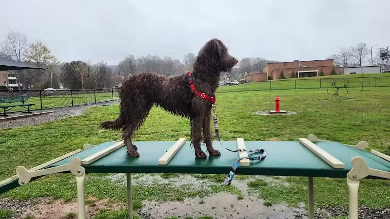 Collinsville Dog Park - Collinsville, VA