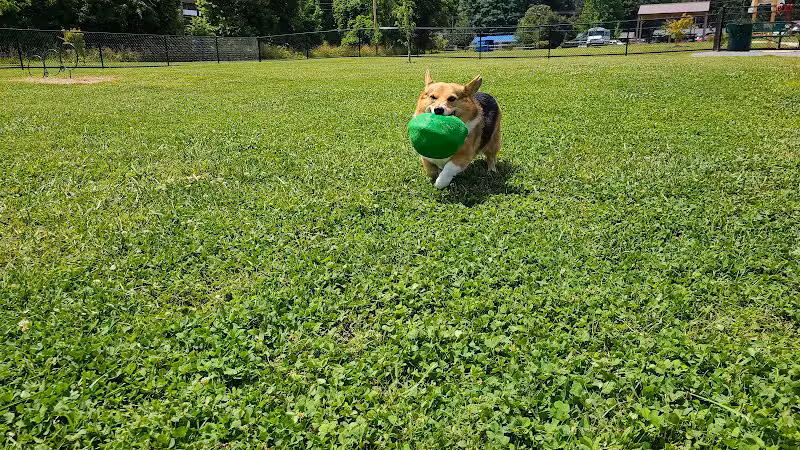 Collinsville Dog Park - Collinsville, VA