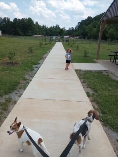 Collinsville Dog Park - Collinsville, VA