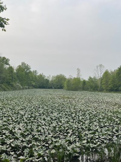 Columbia Reservation - Columbia Station, OH