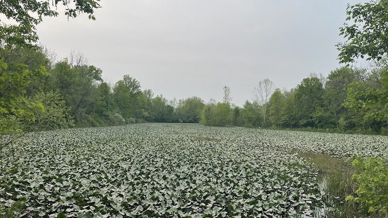 Columbia Reservation - Columbia Station, OH
