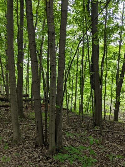 Columbia Reservation - Columbia Station, OH