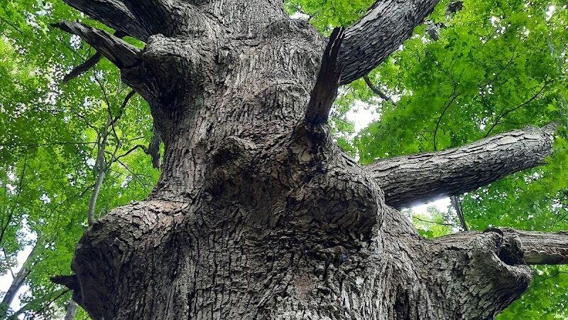 Columbia Reservation - Columbia Station, OH