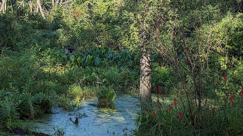 Columbia Reservation - Columbia Station, OH