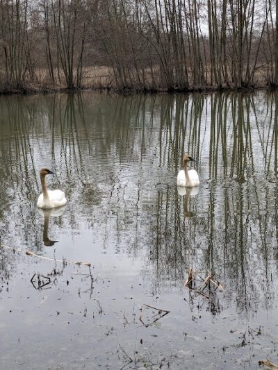 Columbia Reservation - Columbia Station, OH