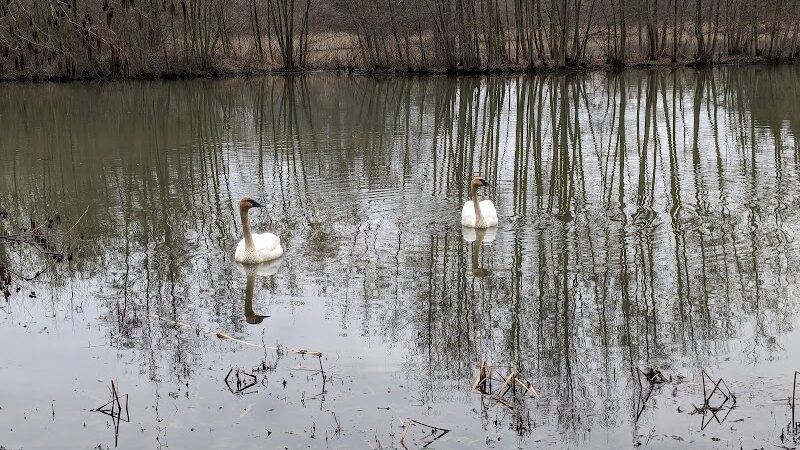 Columbia Reservation - Columbia Station, OH