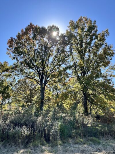 Dorlon Reservation - Columbia Station, OH