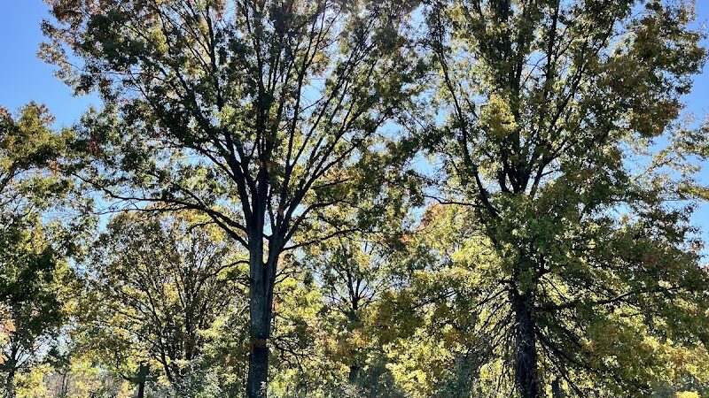 Dorlon Reservation - Columbia Station, OH