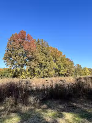Dorlon Reservation - Columbia Station, OH