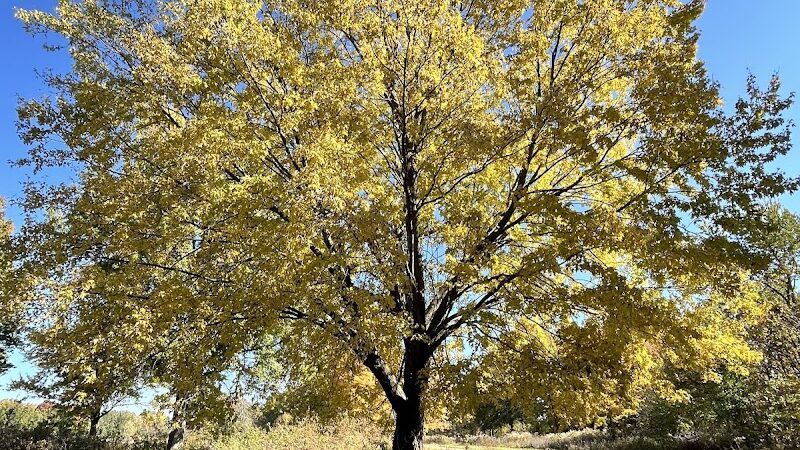 Dorlon Reservation - Columbia Station, OH