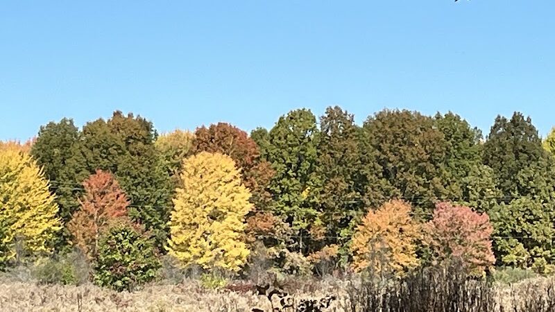 Dorlon Reservation - Columbia Station, OH