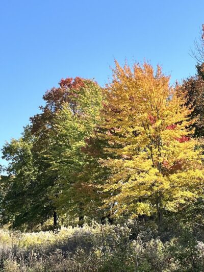 Dorlon Reservation - Columbia Station, OH