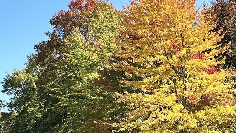 Dorlon Reservation - Columbia Station, OH