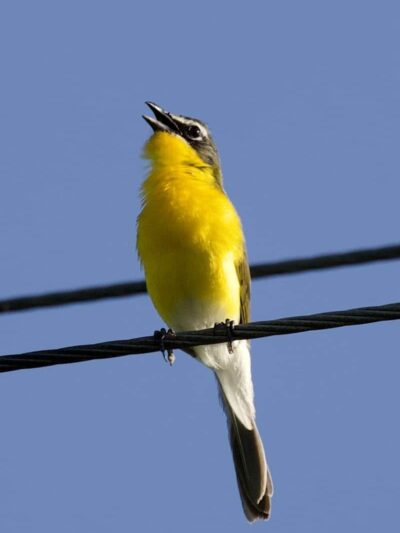 Dorlon Reservation - Columbia Station, OH