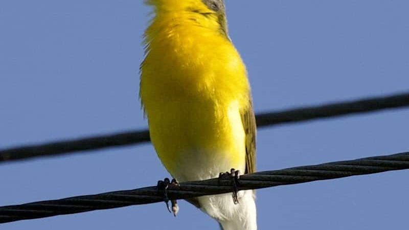 Dorlon Reservation - Columbia Station, OH