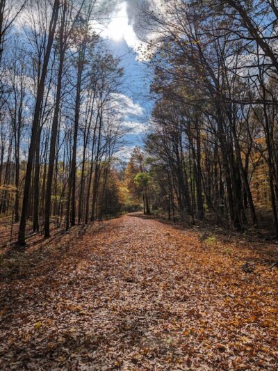 Oxbow Trail, Columbia Reservation - Lorain County Metro Parks - Columbia Station, OH
