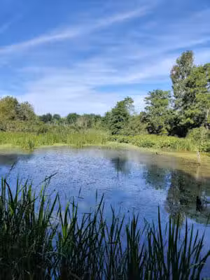 Oxbow Trail, Columbia Reservation - Lorain County Metro Parks - Columbia Station, OH
