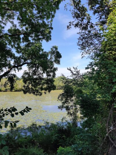 Oxbow Trail, Columbia Reservation - Lorain County Metro Parks - Columbia Station, OH