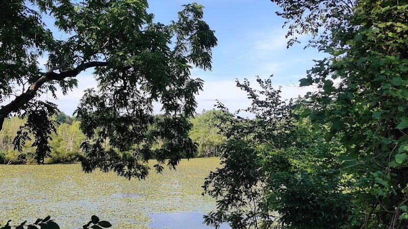 Oxbow Trail, Columbia Reservation - Lorain County Metro Parks - Columbia Station, OH