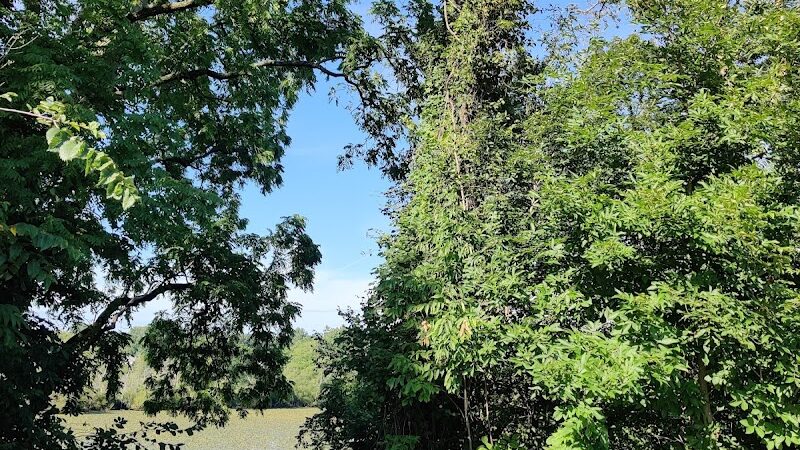 Oxbow Trail, Columbia Reservation - Lorain County Metro Parks - Columbia Station, OH