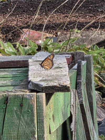 Sundaes Park - Columbia Station, OH