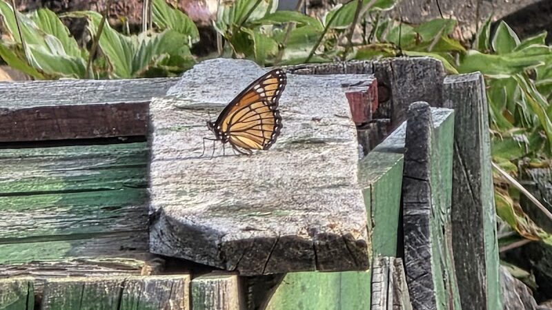 Sundaes Park - Columbia Station, OH