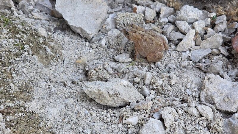 Sundaes Park - Columbia Station, OH