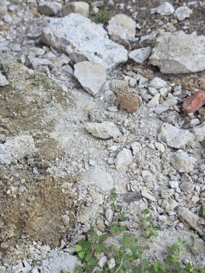 Sundaes Park - Columbia Station, OH