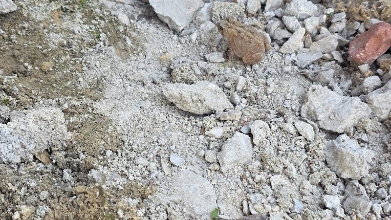 Sundaes Park - Columbia Station, OH