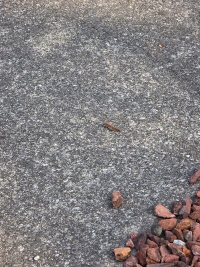 Sundaes Park - Columbia Station, OH