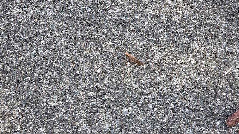 Sundaes Park - Columbia Station, OH