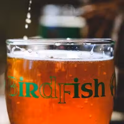 Birdfish Brewing Co. - Columbiana, OH
