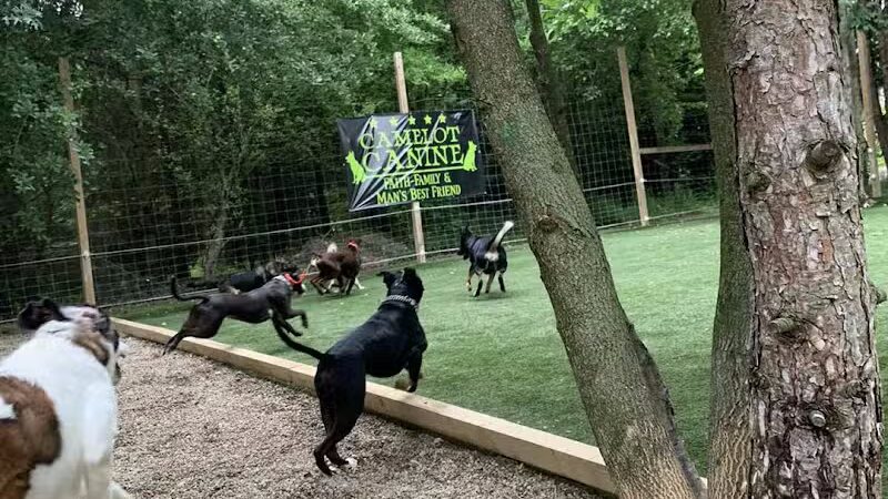 Camelot Canine - Columbiana, OH