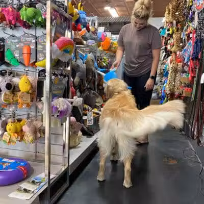 Paws on Main - Columbiana, OH