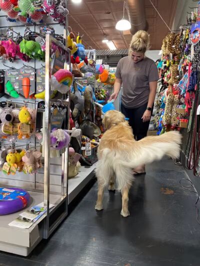 Paws on Main - Columbiana, OH