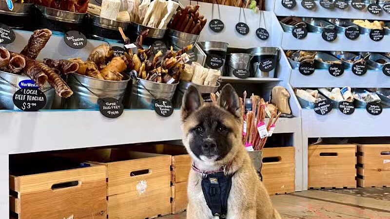 Paws on Main - Columbiana, OH