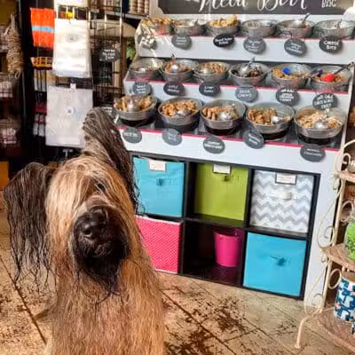 Paws on Main - Columbiana, OH