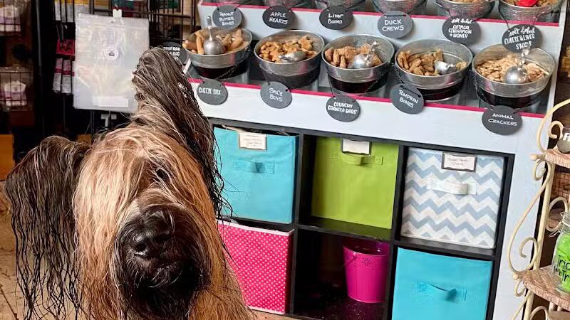 Paws on Main - Columbiana, OH