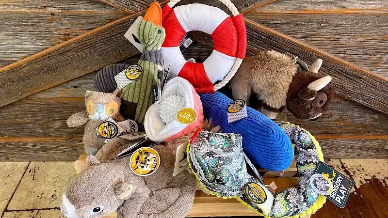 Paws on Main - Columbiana, OH