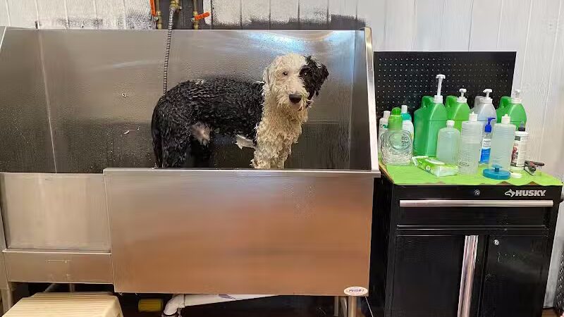 Paws on Main - Columbiana, OH