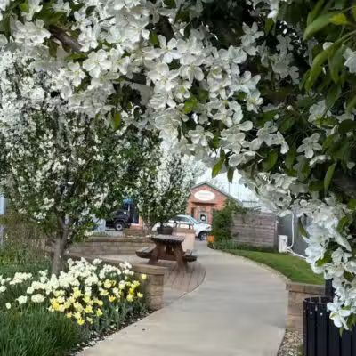 Pocket Park - Columbiana, OH