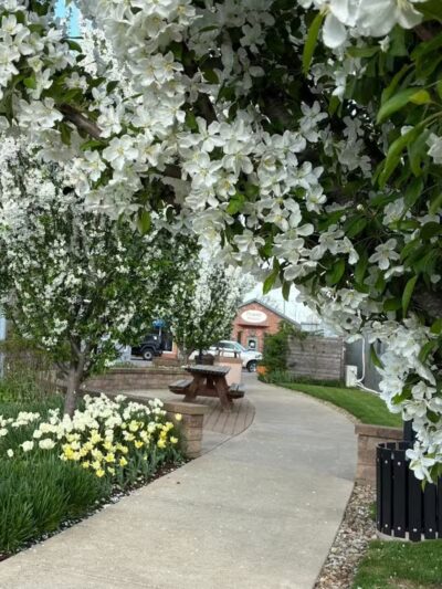 Pocket Park - Columbiana, OH